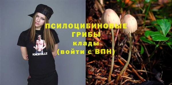 гидропоника Алексин