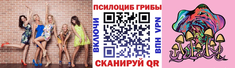 Псилоцибиновые грибы GOLDEN TEACHER  Купить закладки  Валдай 